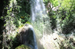 River Tribe