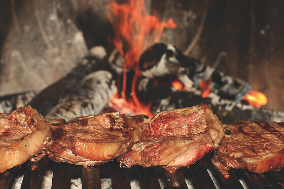 GASTRO BRASAS EL RESERO - photo 12