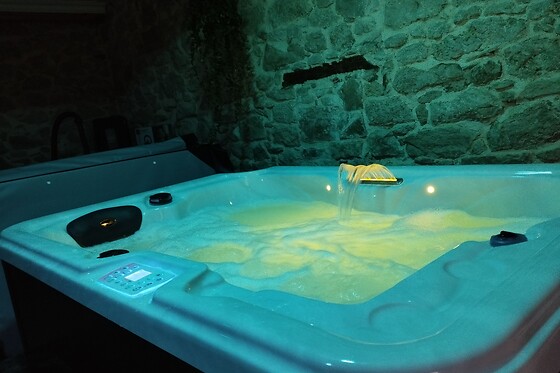 Chambres d'hôtes Atelier détente et Spa - photo 2