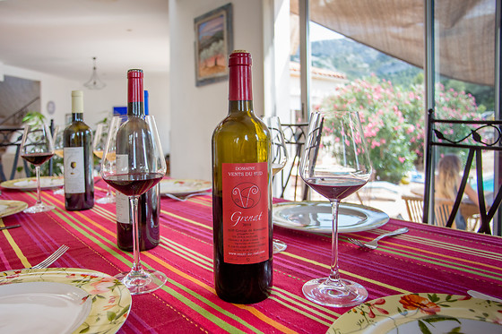Domaine Vents du Sud - photo 14