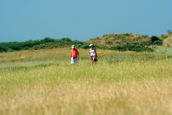 Fletcher Hotel-Restaurant La Ville Blanche (HOTEL) - photo 2