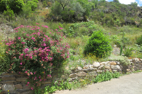 CASA GRANDE DA FERRERÍA DE RUGANDO - photo 7