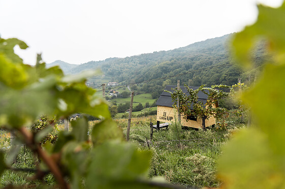 Podere Cavaga - photo 8