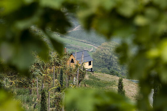 Podere Cavaga - photo 4