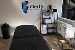 Butterflybodyshapes