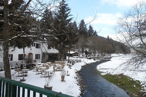 Domaine du Moulin d'Asselborn - photo 6