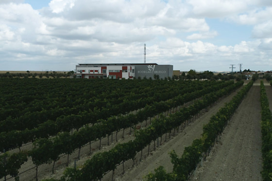 BODEGA BRIEGO - photo 4
