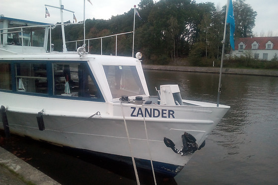 Zander - photo 4
