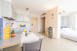 HOTEL ATENEA PARK SUITES-APARTAMENTS