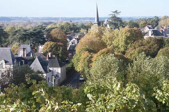 Domaine du Closel - Château des Vaults - photo 3