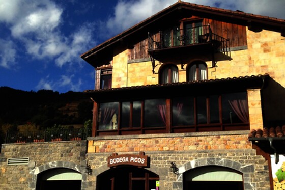 BODEGA PICOS - photo 4
