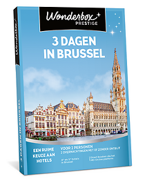 3 Dagen in Brussel