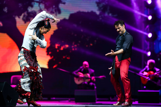 TEATRO FLAMENCO MADRID - photo 0