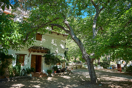 CORTIJO DE RAMÓN - photo 4