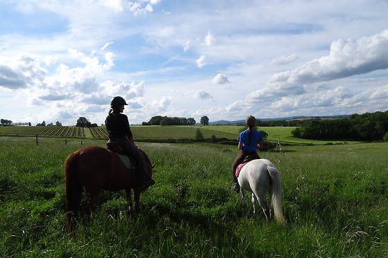 Un Poney, une histoire - photo 4