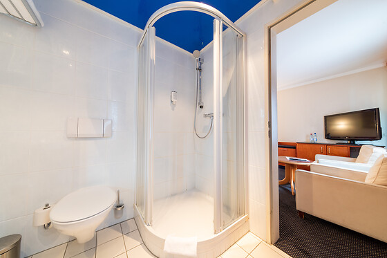 Koener Hotel - photo 10