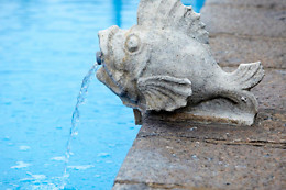 BALNEARIO DE ACUÑA