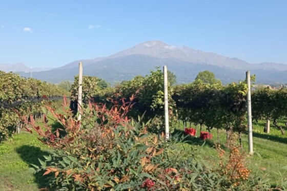 Terre del Creario - photo 4