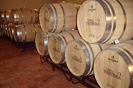 BODEGA VIÑA PLACENTINA