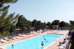 LE BOIS DE PINS