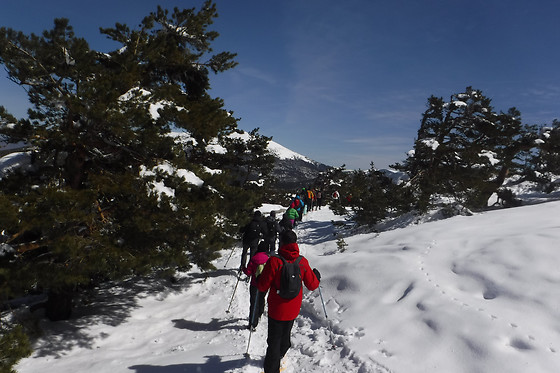 PLANETSPORT MULTIAVENTURA - photo 2