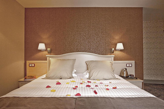 Best Western Le Duguesclin - photo 5