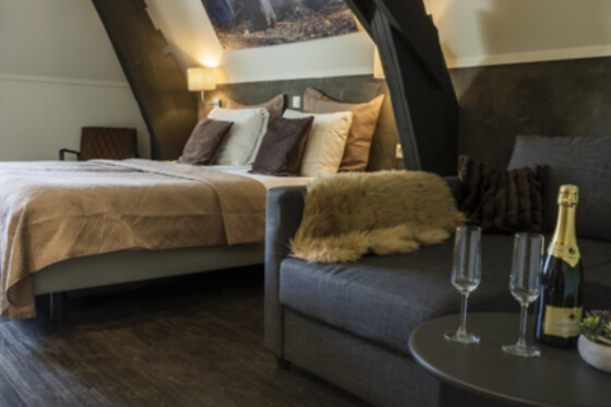 Hotel de Kastanjefabriek - photo 1