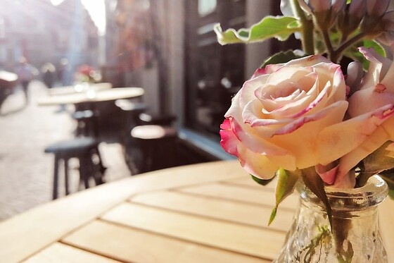 Roest Wine & Foodbar - photo 6