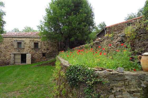 Le Vieux Mas - photo 3