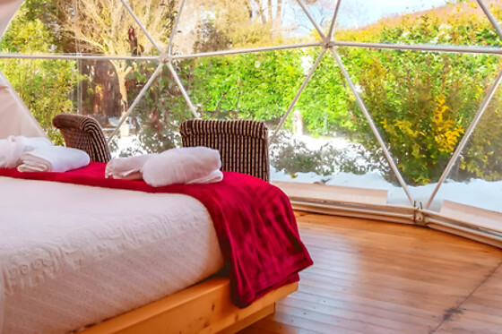 UnderDome Glamping - photo 7