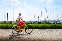 Yellow Bike