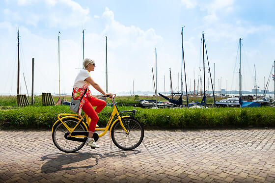 Yellow Bike - photo 7