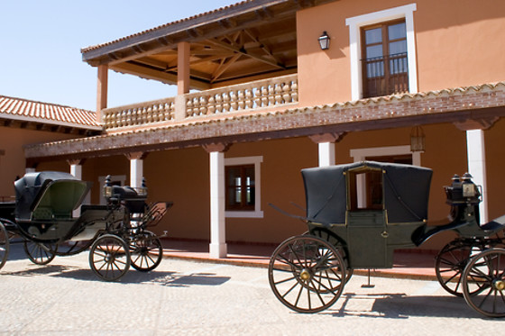 BODEGA LOS ALJIBES - photo 3
