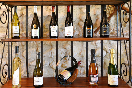 Domaine du Vieil Orme - photo 7