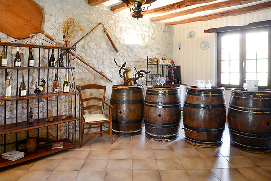 Domaine du Vieil Orme - photo 5