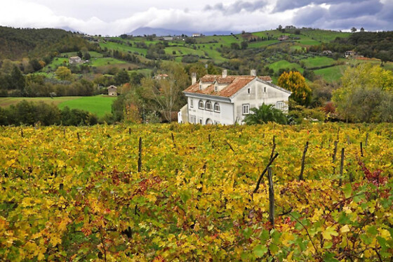 ALE.P.A. Societa′ Agricola - photo 0