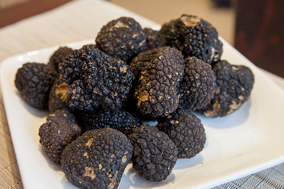 Truffes Folies - photo 13