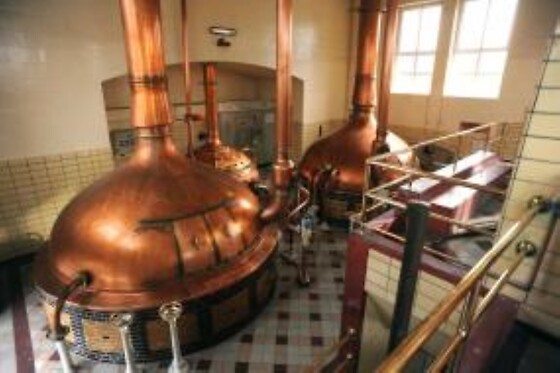 Brouwerij Roman - photo 4