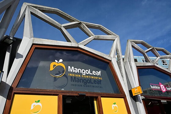Mango Leaf - photo 0