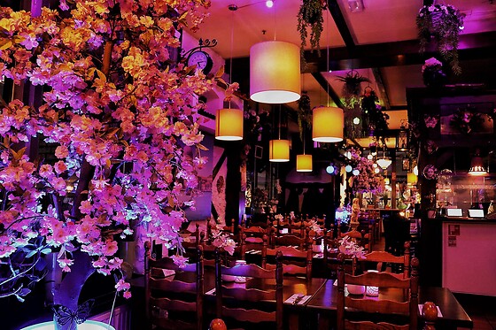 Ristorante Italiano Pizzeria Romagna - photo 1