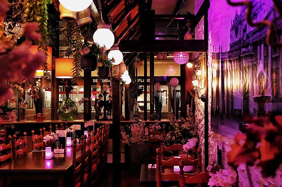 Ristorante Italiano Pizzeria Romagna - photo 2