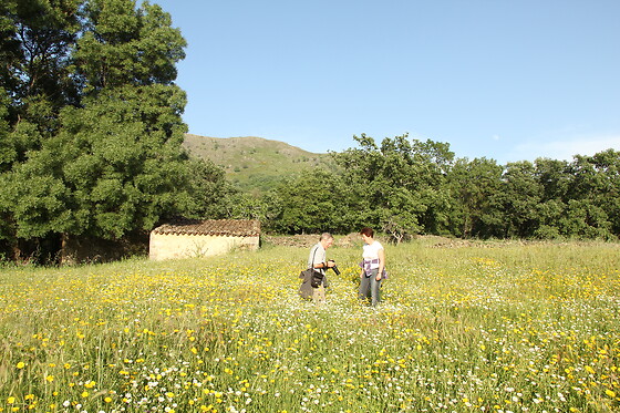 CASA PALACIO CARVAJAL - photo 3
