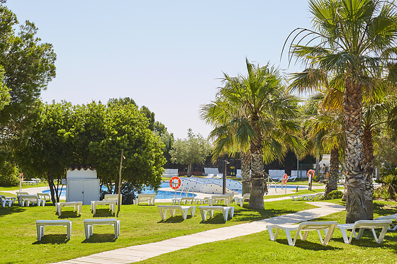ALANNIA COSTA DORADA - photo 8