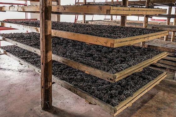 Azienda Agricola Mizzon - photo 2