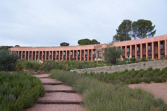 HOTEL CIGARRAL EL BOSQUE - photo 20