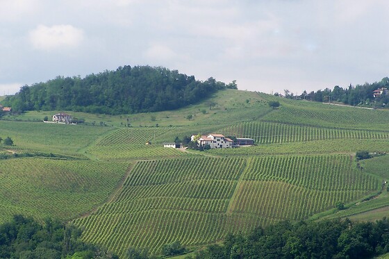 Azienda Agricola La Piotta - photo 2