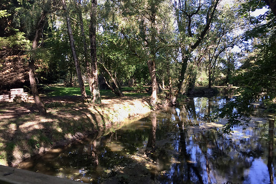 Domaine de Pladuc - photo 7