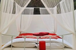 Noordweghe Glamping