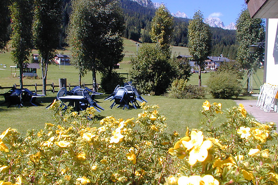 Sport Hotel - photo 4