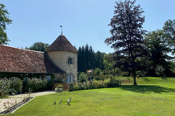 Le pigeonnier de Malpas - photo 4